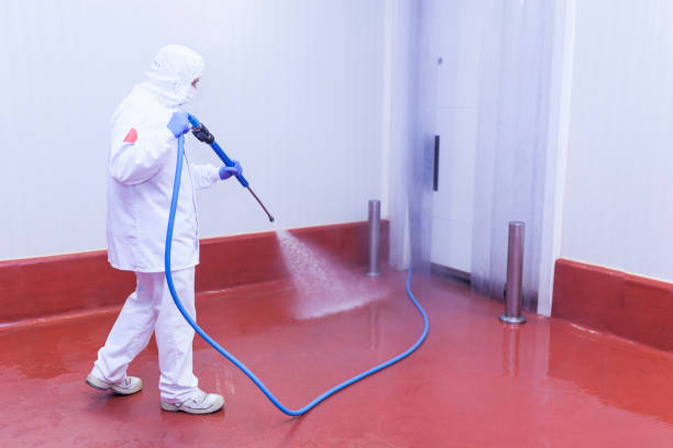 Best Soft Washing  in Silver Lake, NJ